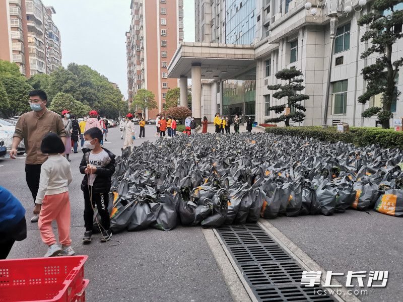 780份蔬菜包送到了湘林小區(qū)院內(nèi)。長(zhǎng)沙晚報(bào)實(shí)習(xí)生 羅楊 攝